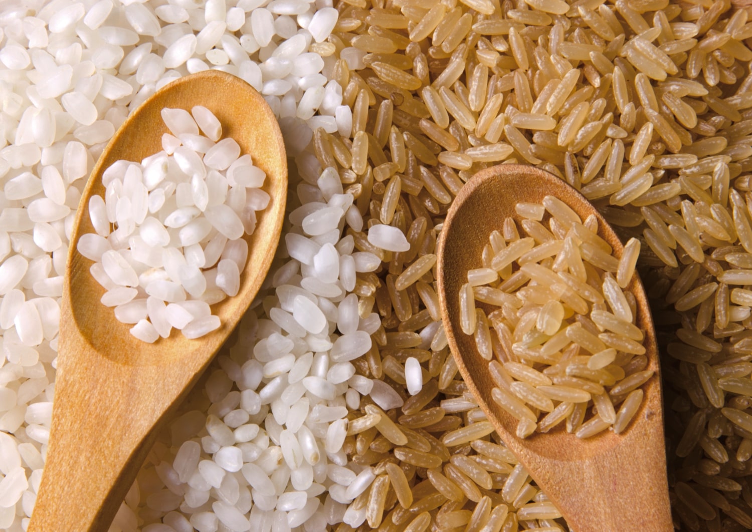 Brown rice vs white rice