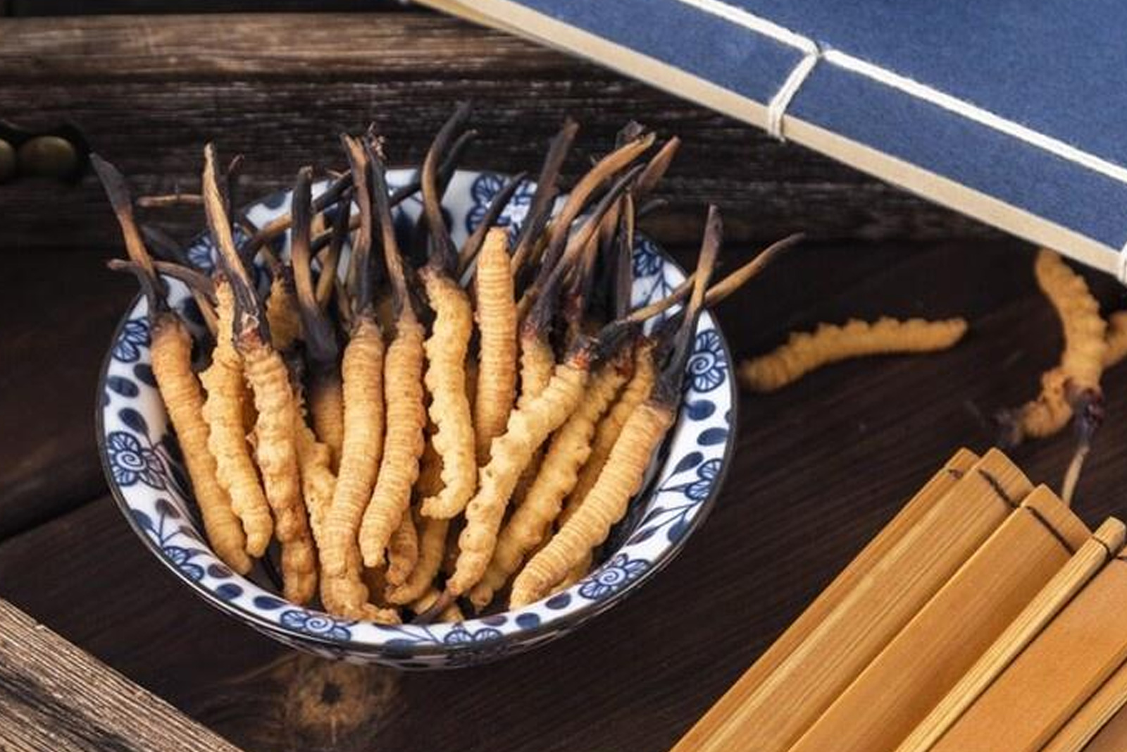 Premium Naqu Cordyceps Sinensis