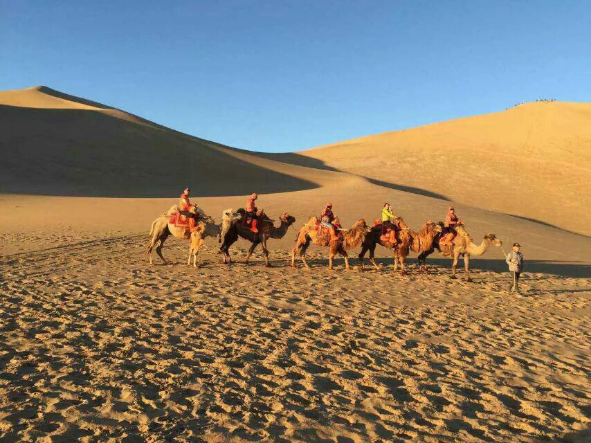 CityUHK College of Business Alumni Conference and Dinner: A day of connection and innovation