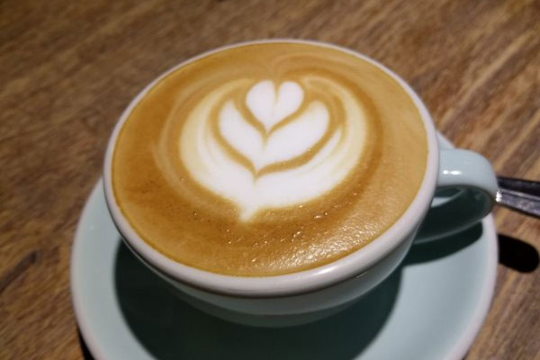 The Influence of Product Anthropomorphism On Consumers