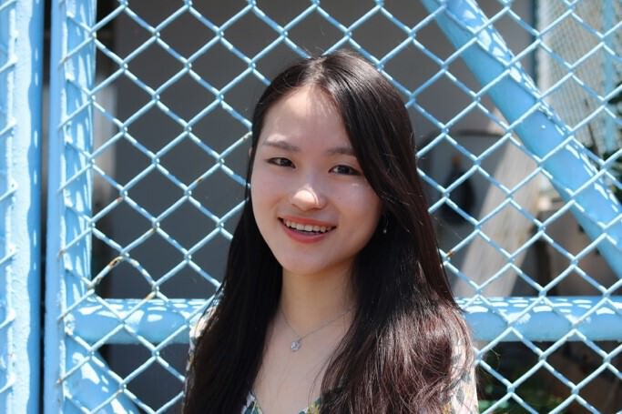 Three Different Roles of a Dreamer