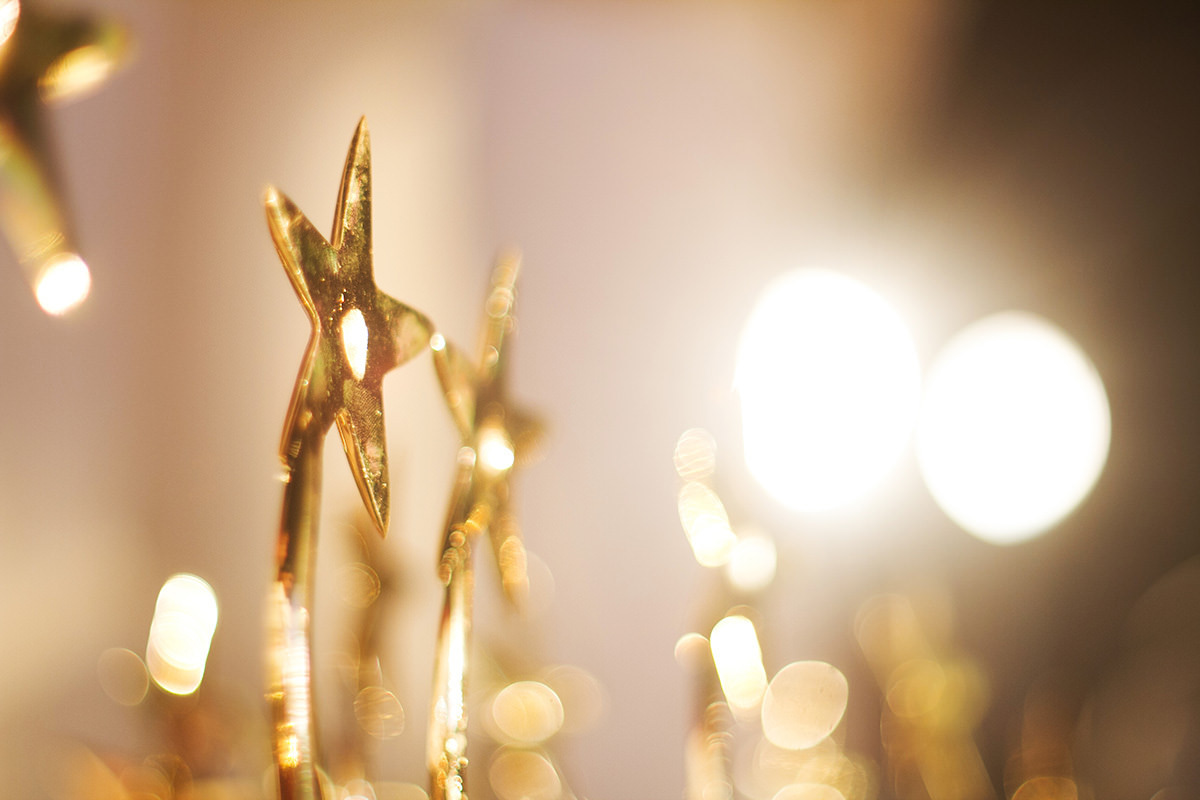 College of Business Distinguished Alumni Award 2025