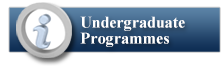 Undergraduate Programmes