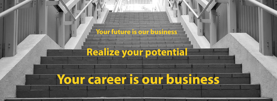 Business Career Development