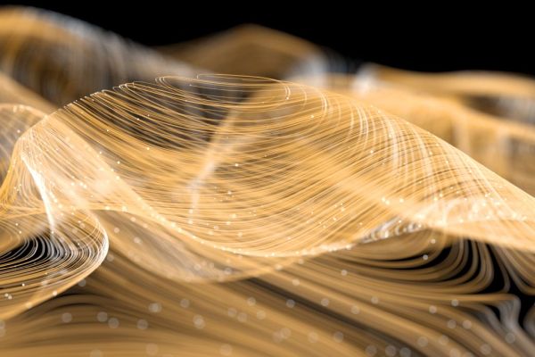 The Impact of Shareholder Litigation Risk on Equity Incentives