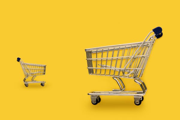 The Impact of Shareholder Litigation Risk on Equity Incentives