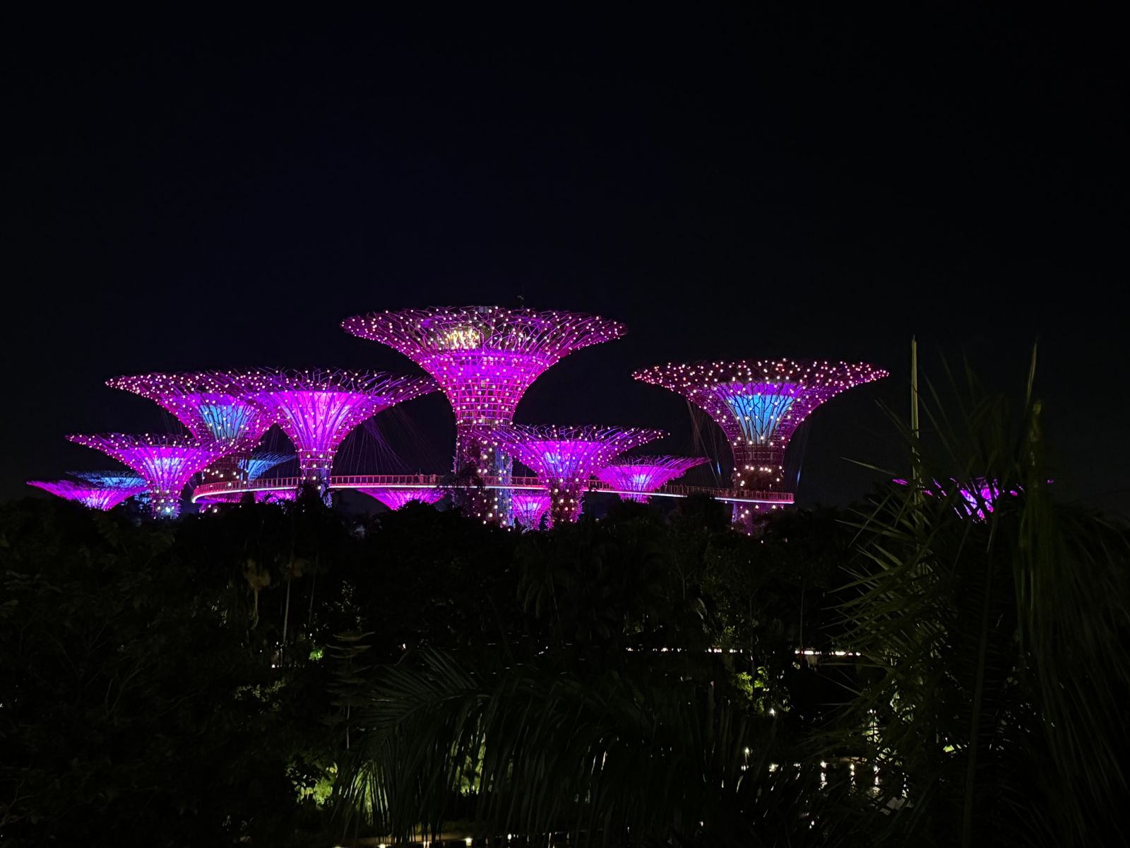 Singapore Study Tour