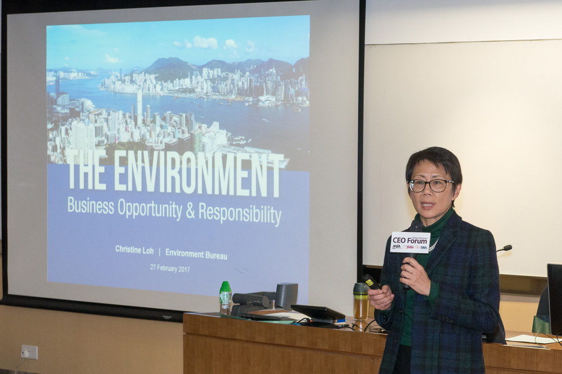 Bridging environment to business