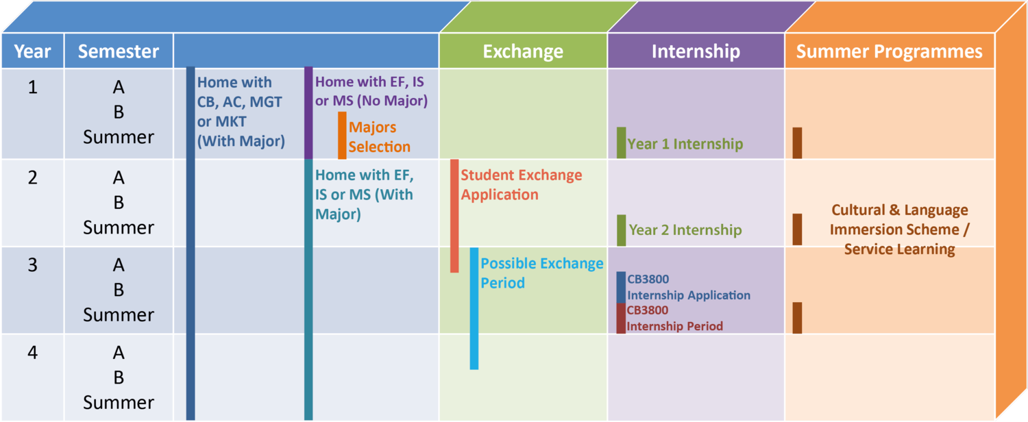 Your undergraduate Journey